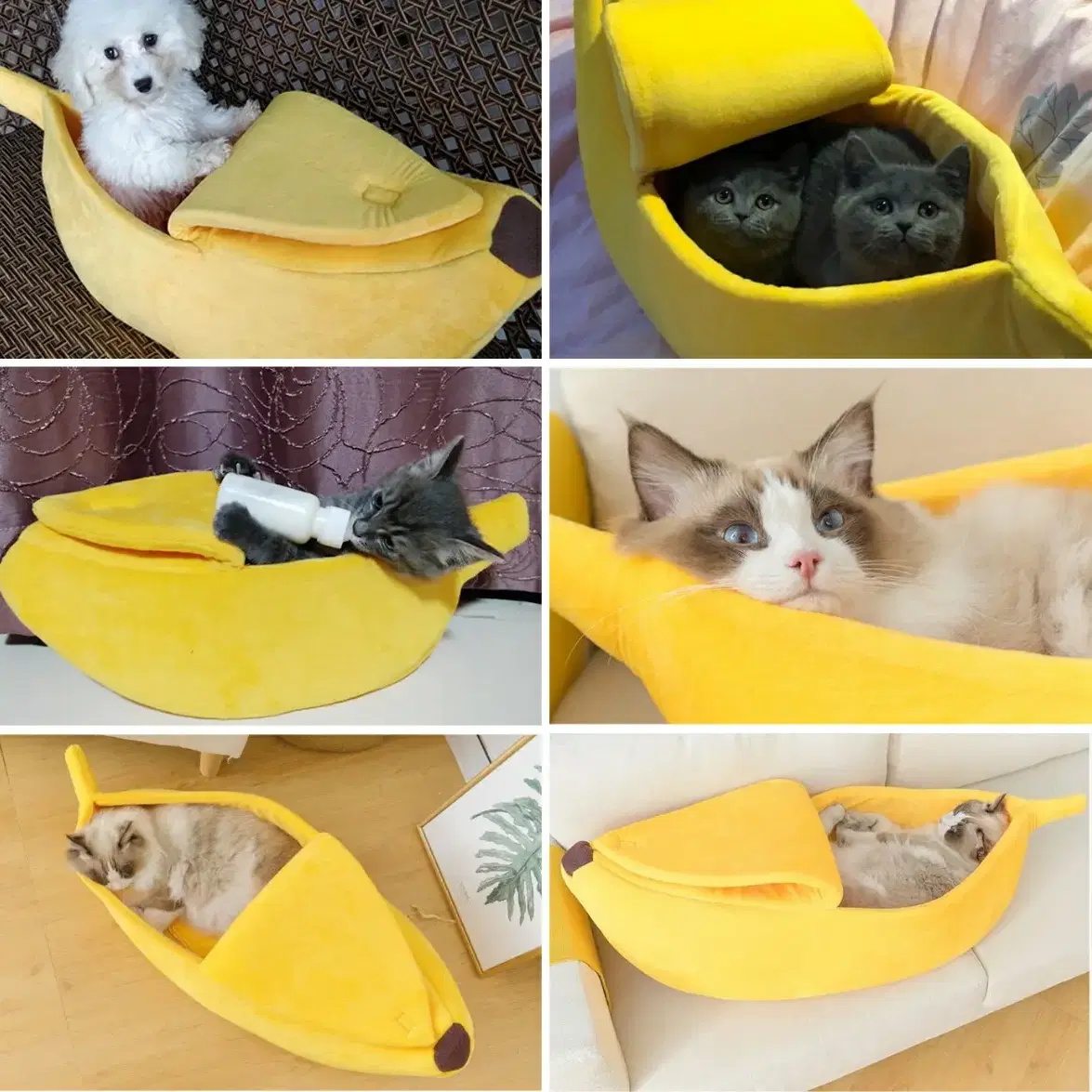 강아지 고양이 바나나숨숨집