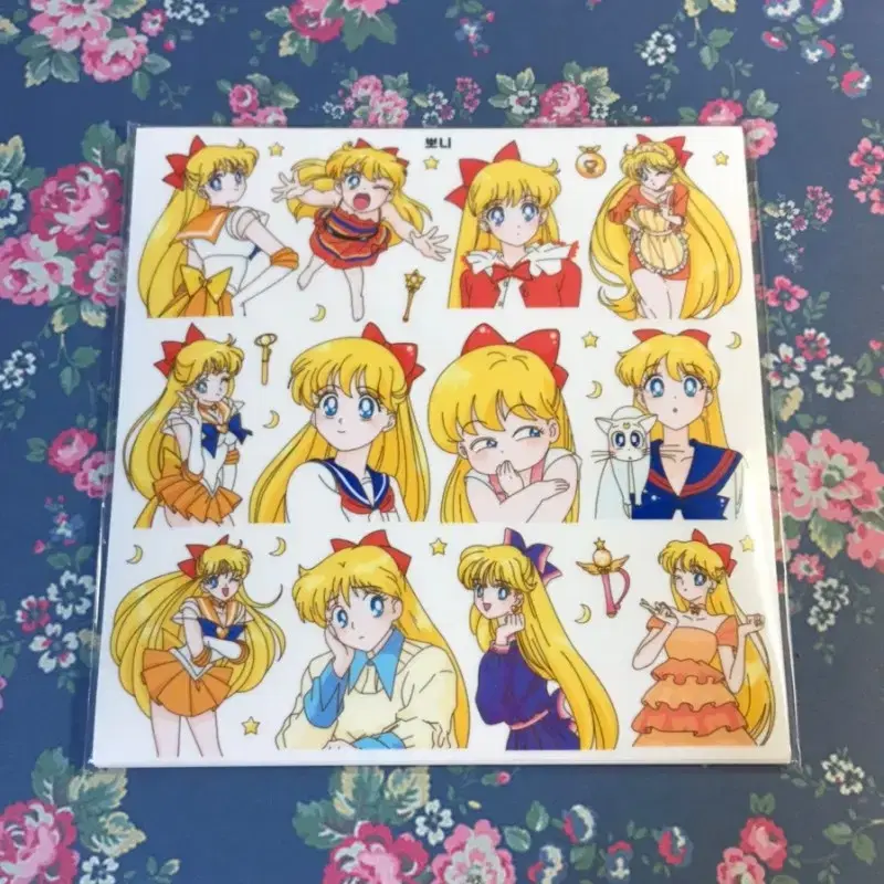 Mr. Kwon-chan Sailor Moon The First Edition Ding