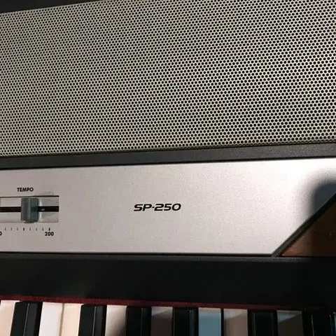 KORG SP-250 스테이지 디지털 피아노