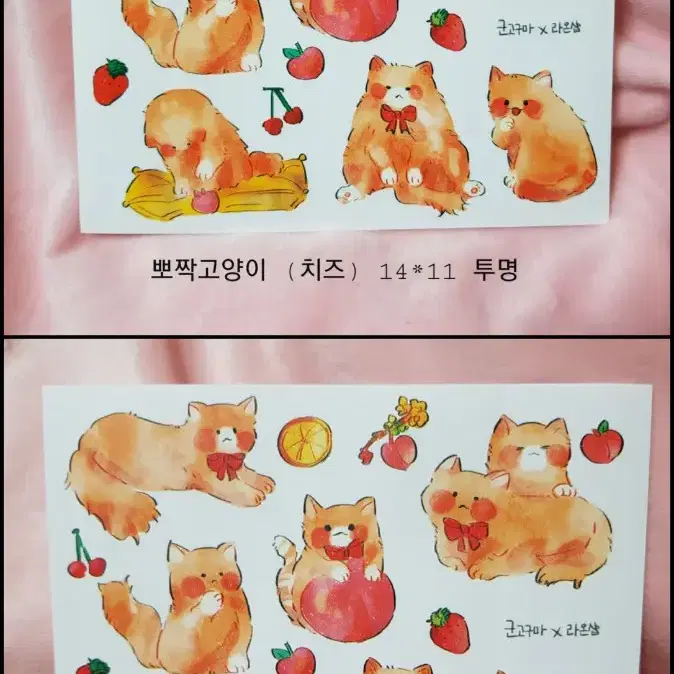 군고구마님 ) 뽀짝고양이(치즈) 인스판매