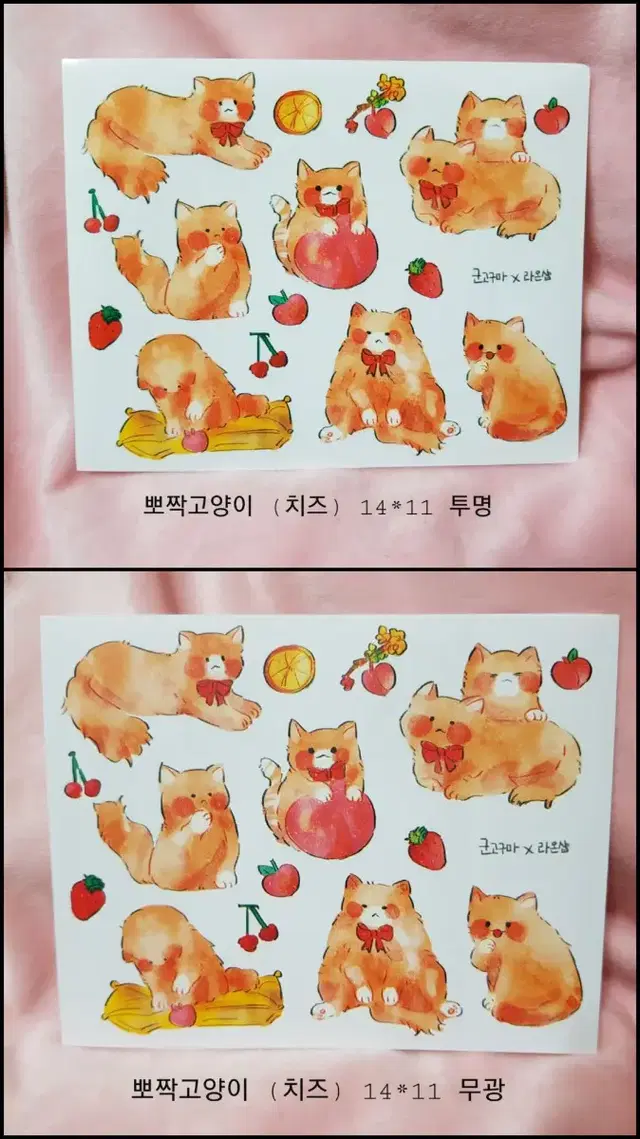 군고구마님 ) 뽀짝고양이(치즈) 인스판매