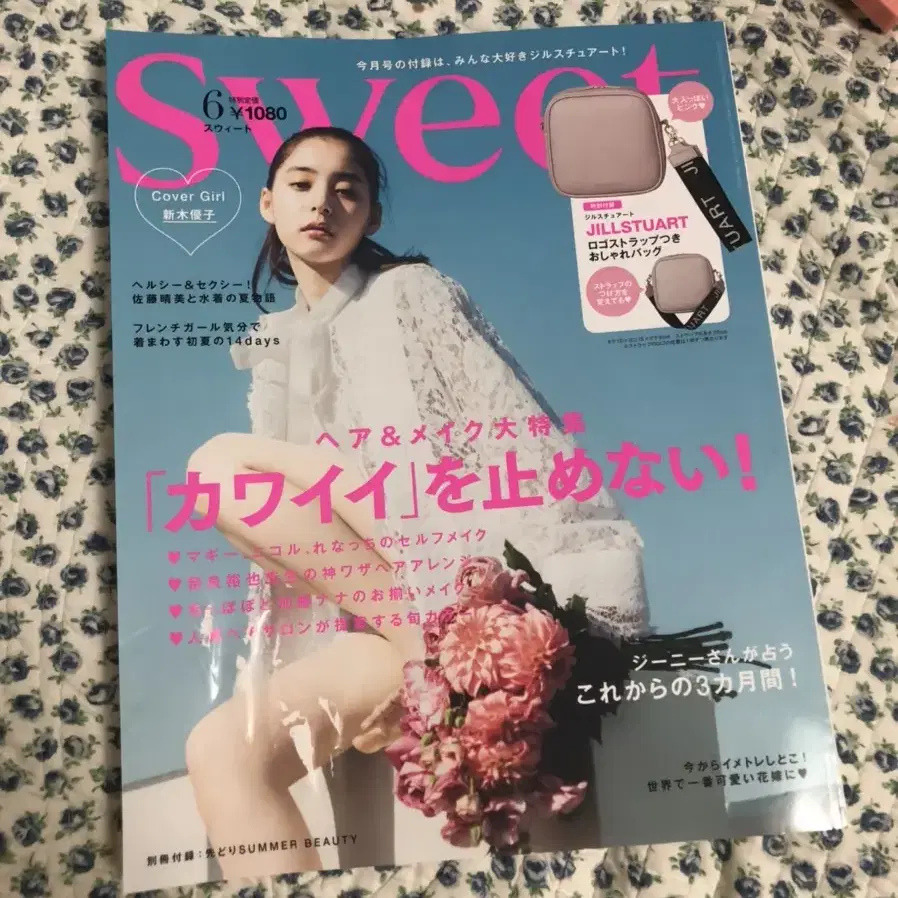 sweet 일본잡지 과월호 6월