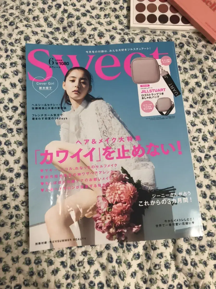 sweet 일본잡지 과월호 6월