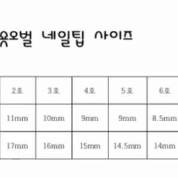 젤리곰 네일팁