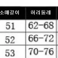 섹시나시투피스