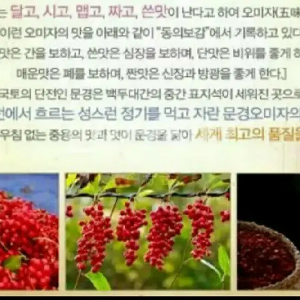 (명절선물추천) 24년 생오미자 원액, 오미자즙, 건오미자