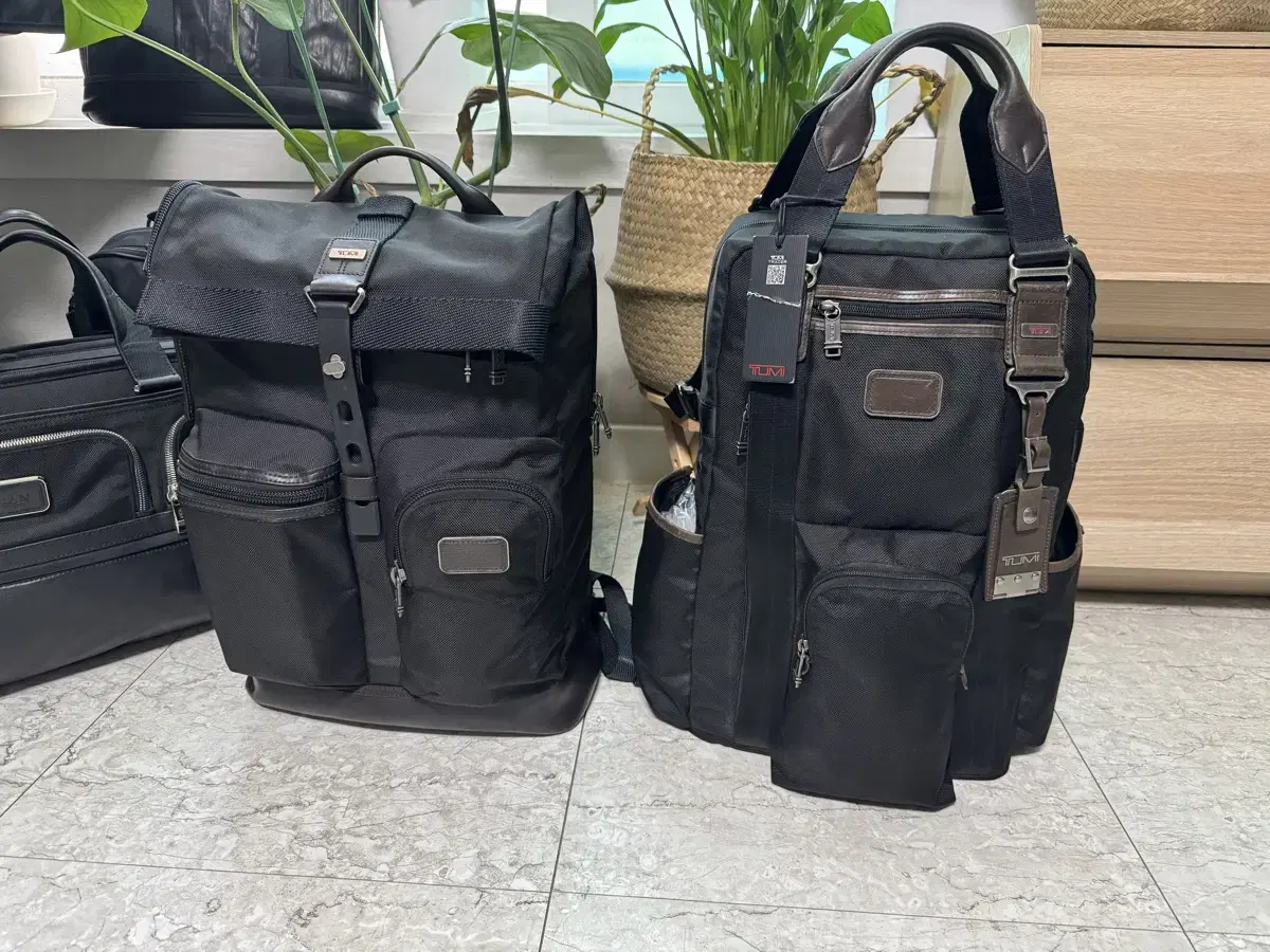 We sell genuine Alpha Bravo Le Jun backpacks.