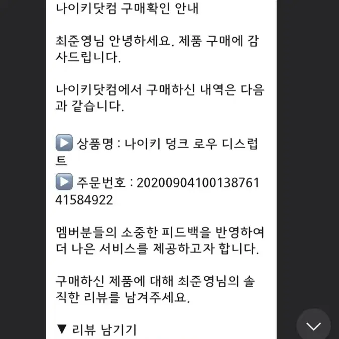 나이키 덩크로우 디스럽트