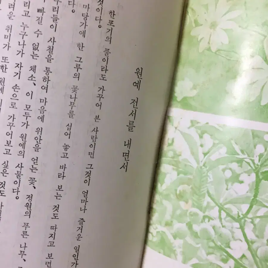 옛날책> 1981년 원예전서 / 희귀수집품 빈티지 레트로 소품 중고책