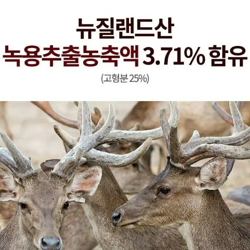 개성인삼농협 녹용단 1+1 무료배송 명절선물