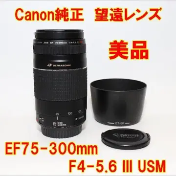 라)망원렌즈 Canon EF 75-300mm F4-5.6 III USM | 브랜드 중고거래