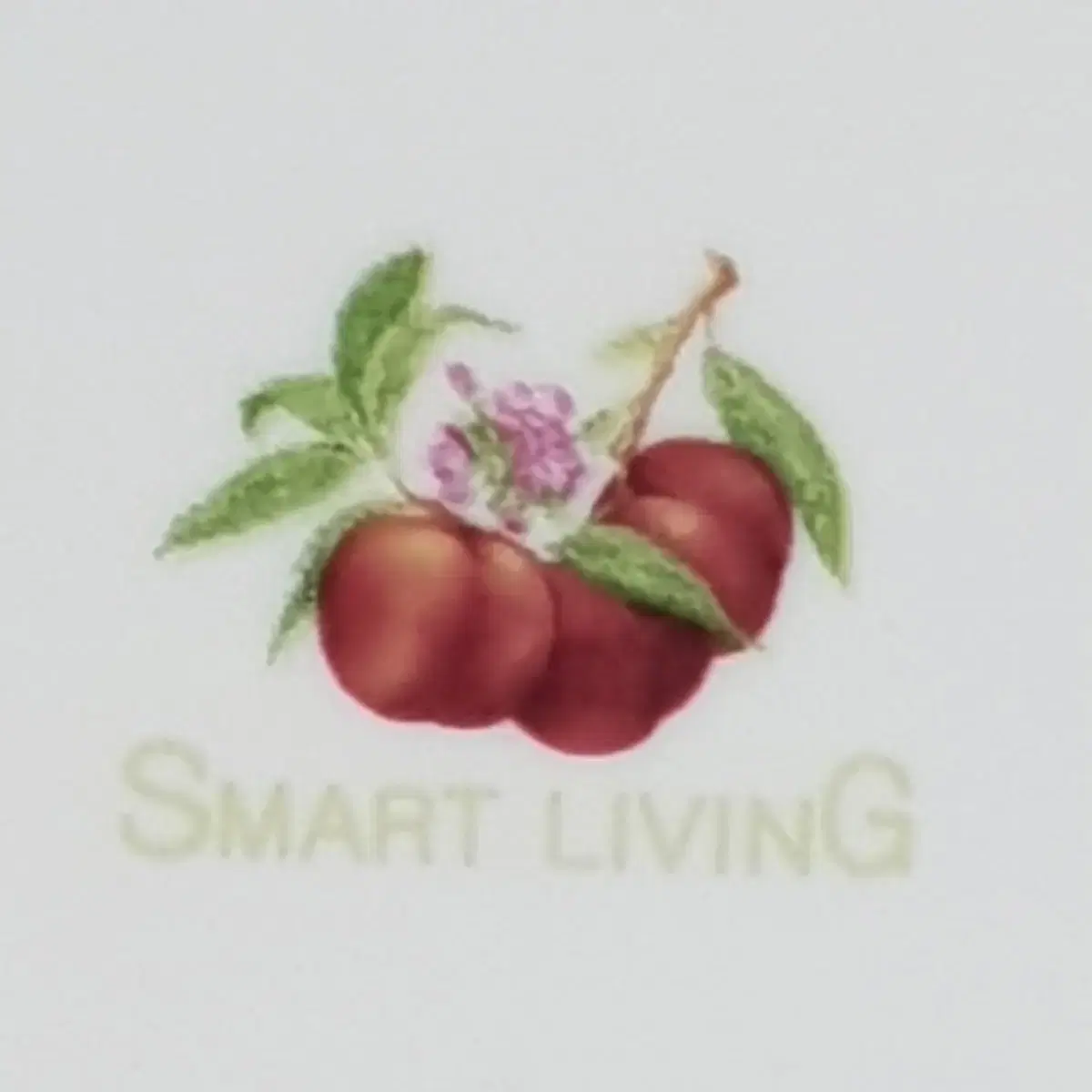 새상품 2000년대  SMART LIVING 사의 사과 도자기 찬기 중