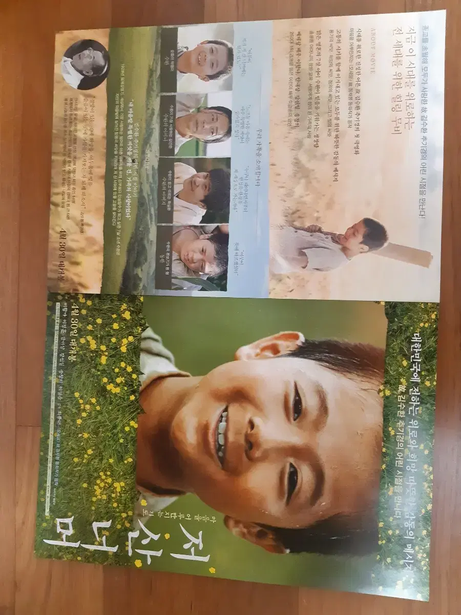 Beyond the Low Mountain Movie Brochure