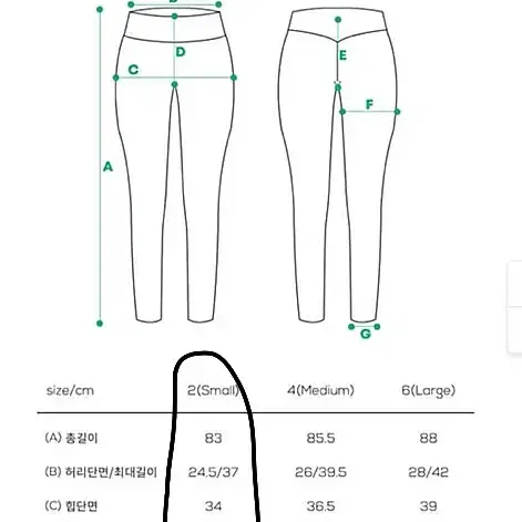 파슬리 민트컬러 하의웨스트 요가복