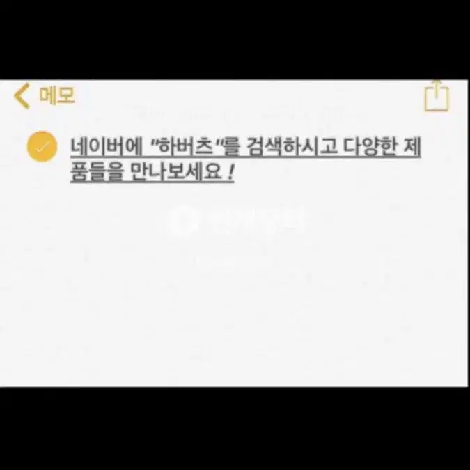 챔피언 챔피온 로고 스웻 집업 후드