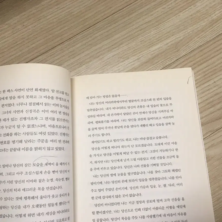 국화꽃 향기 2