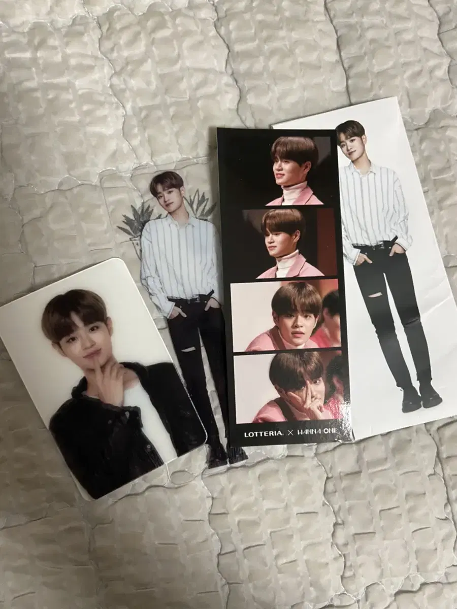 Daehwi Lee Loteria photocard set