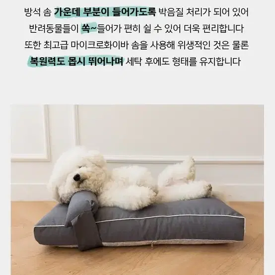 [무료배송] 먼지 안붙는 강아지 꿀잠 코코방석