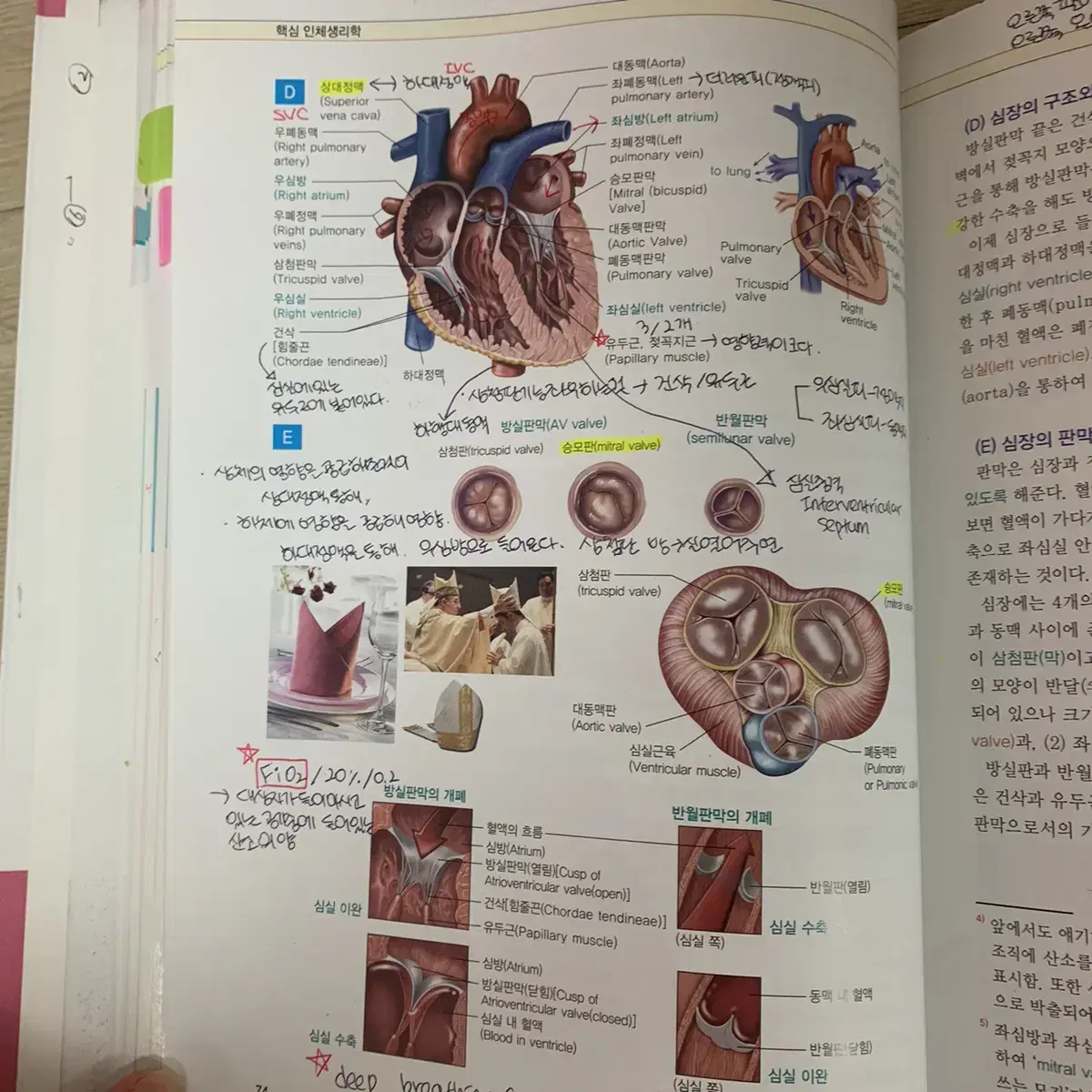 간호학과 인체생리학 책