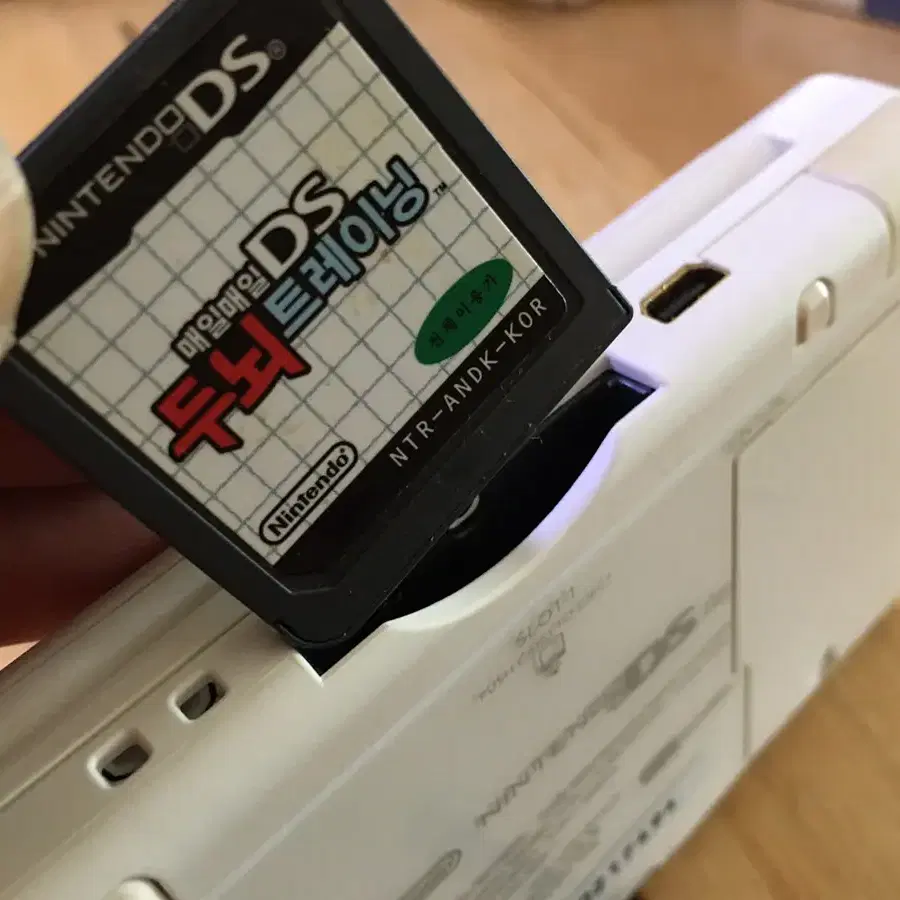 닌텐도 DS lite