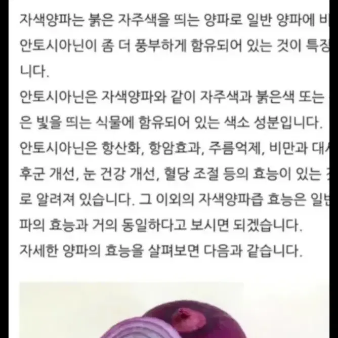 자색양파즙.양배추즙