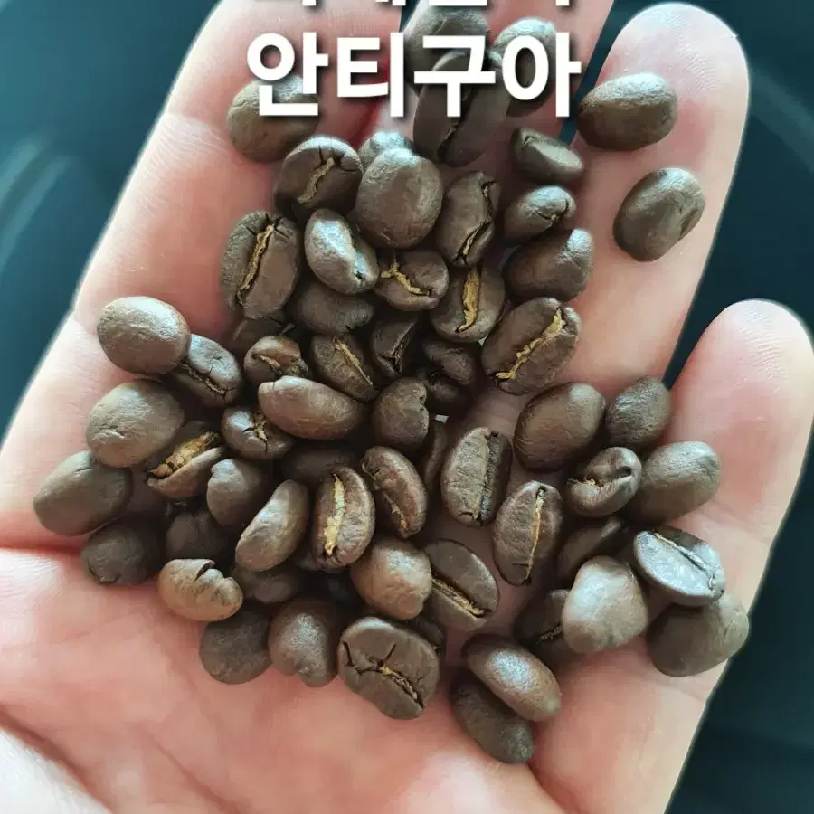 콜롬비아 수프리모 ,과테말라 안티구아 원두 커피 팝니다.