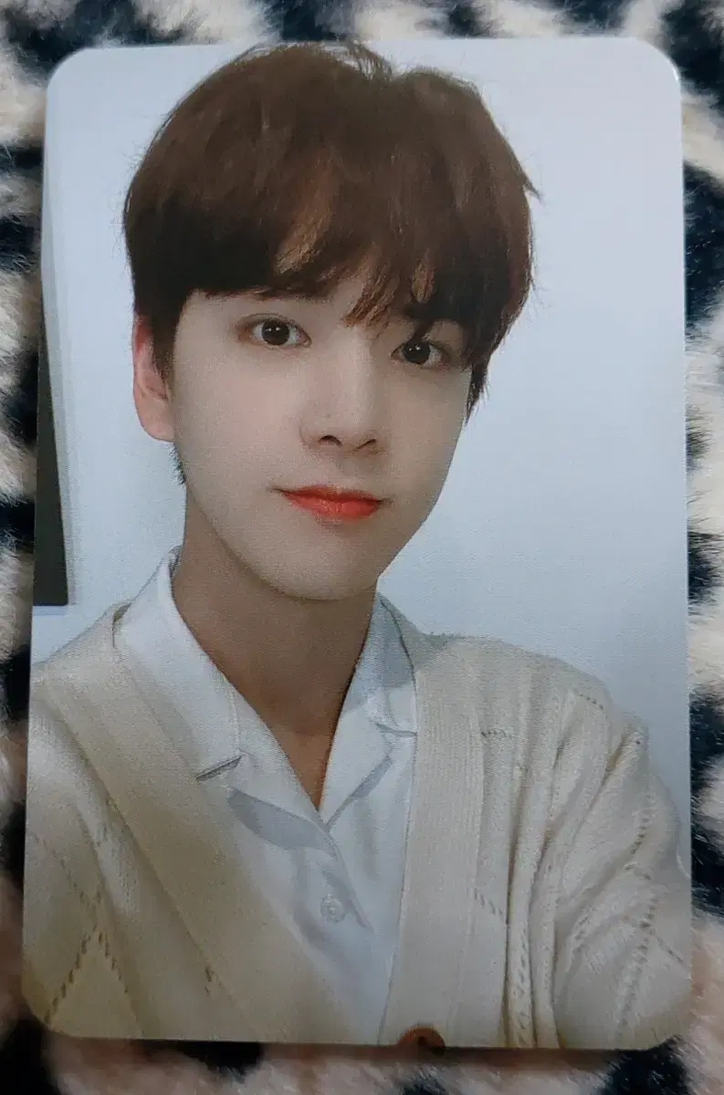 THE BOYZ joeunmusic pre-order benefit photocard Younghoon