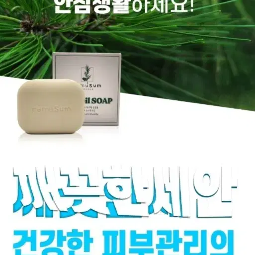 적송 소나무오일 나무숨 수분보습 진정 피톤치드 비누 100g 향기비누 소