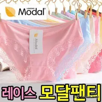 (새상품) 여성 누디라인 모달팬티 레이스팬티