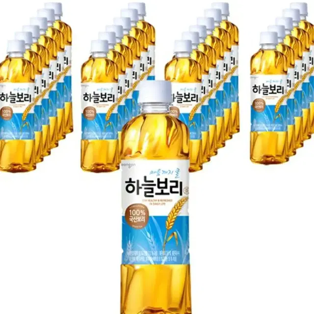 웅진 하늘보리 500ml 24펫 무료배송 웅진식품