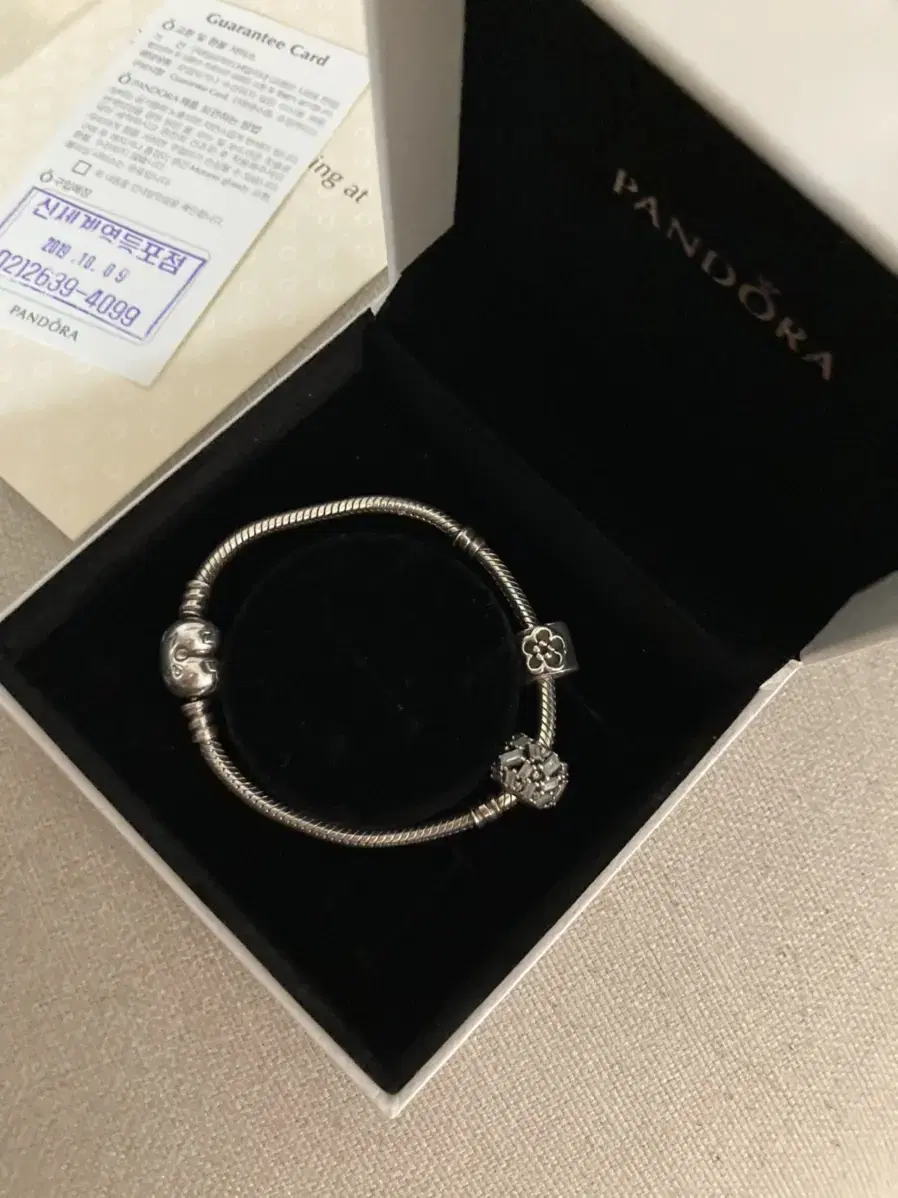 Pandora Bracelet (string 1 + charm 2)