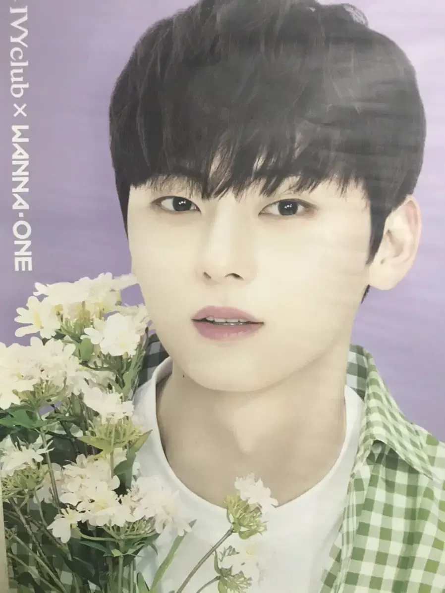 Hwang Minhyun, iVy Poster