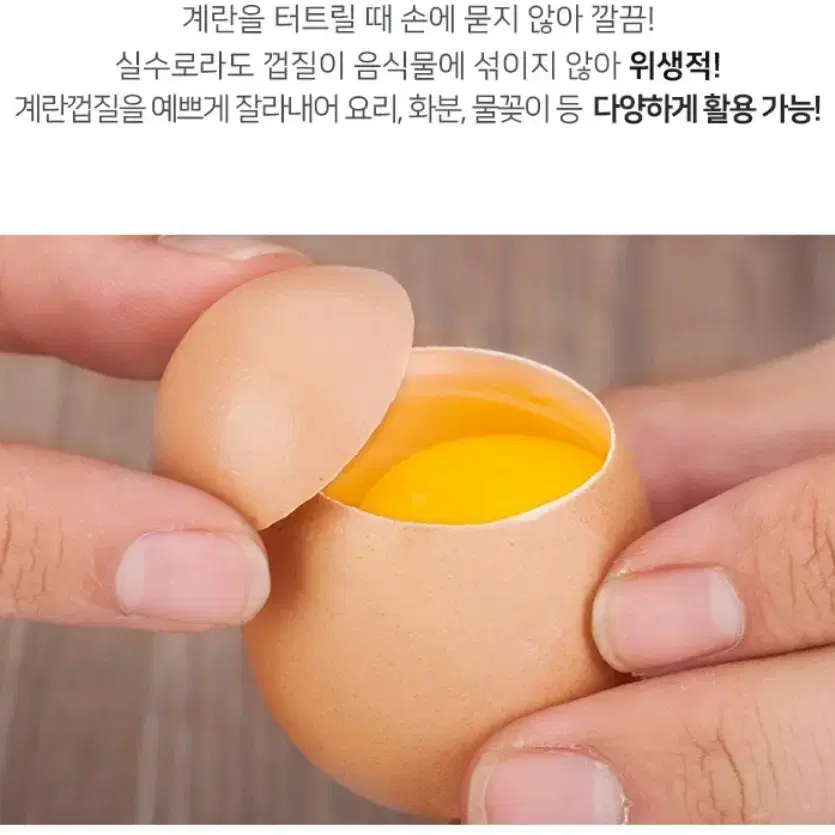 계란 껍질  커터기