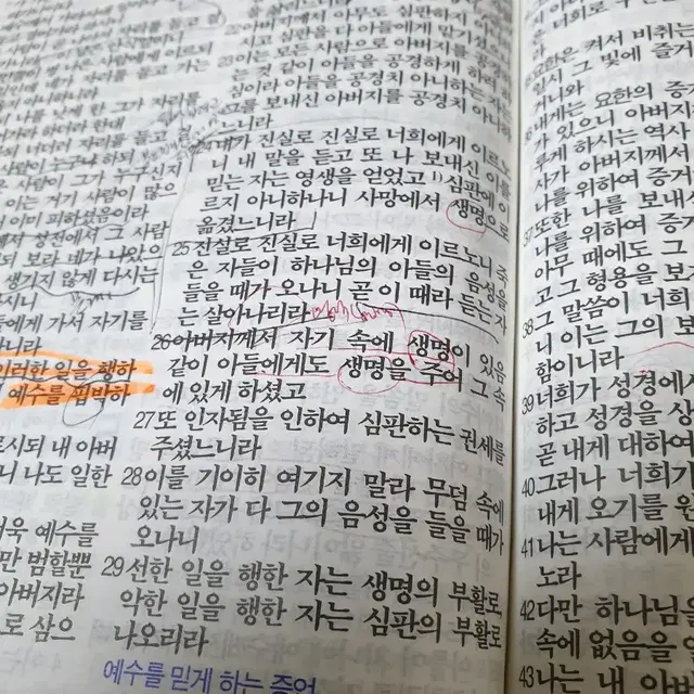 개역한글성경 구합니다.