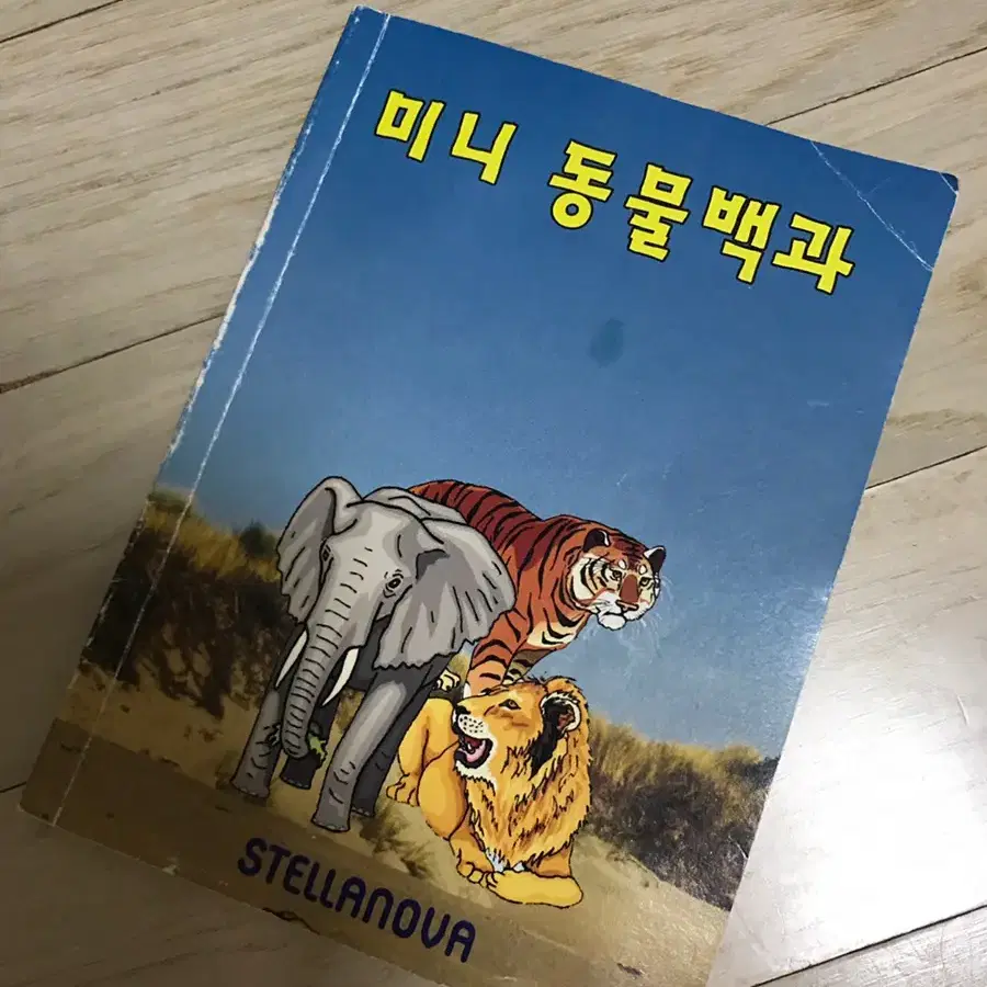 스텔라노바 어린이 지구본 독일 지구본 영문버전