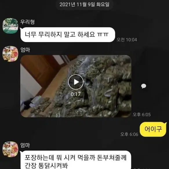 (비염특효) 작두콩차