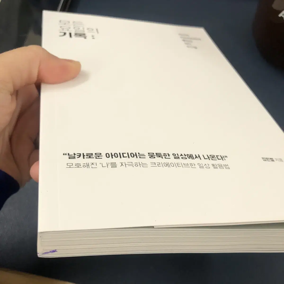 (새) 모든 요일의 기록