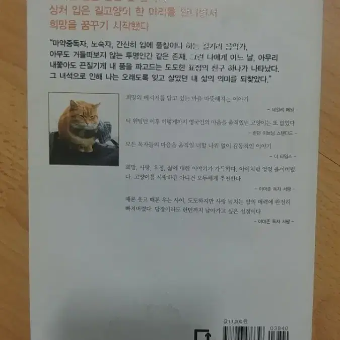 내 어깨 위 고양이,Bob