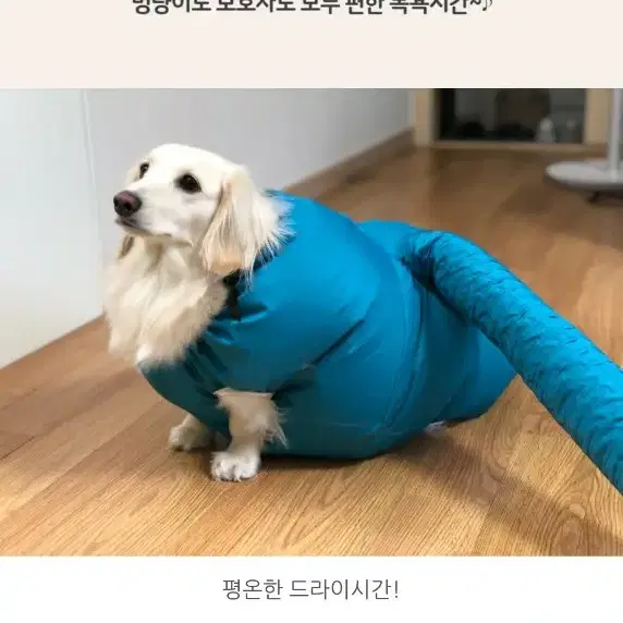 강아지 드라이 자켓