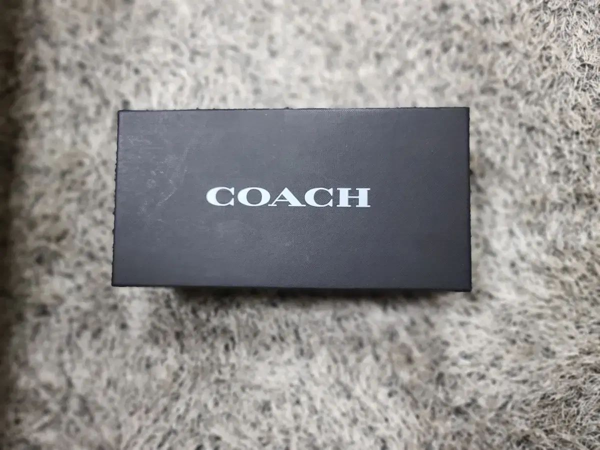 코치 쪼리 coach