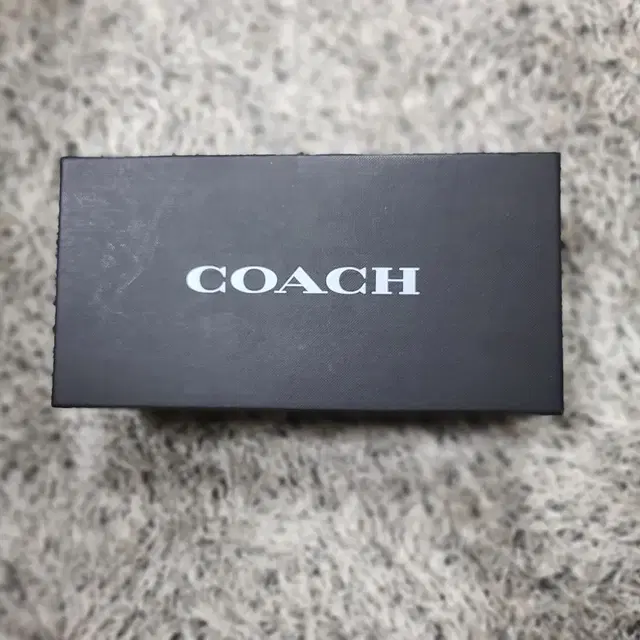 코치 쪼리 coach