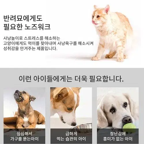 [무료배송] 반려견 지능개발 장난감 퍼즐이팅 노즈위크