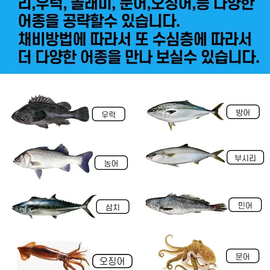 야광새우 소프트 베이트 야광 새우웜 크릴 루어낚시 5개 1셋트