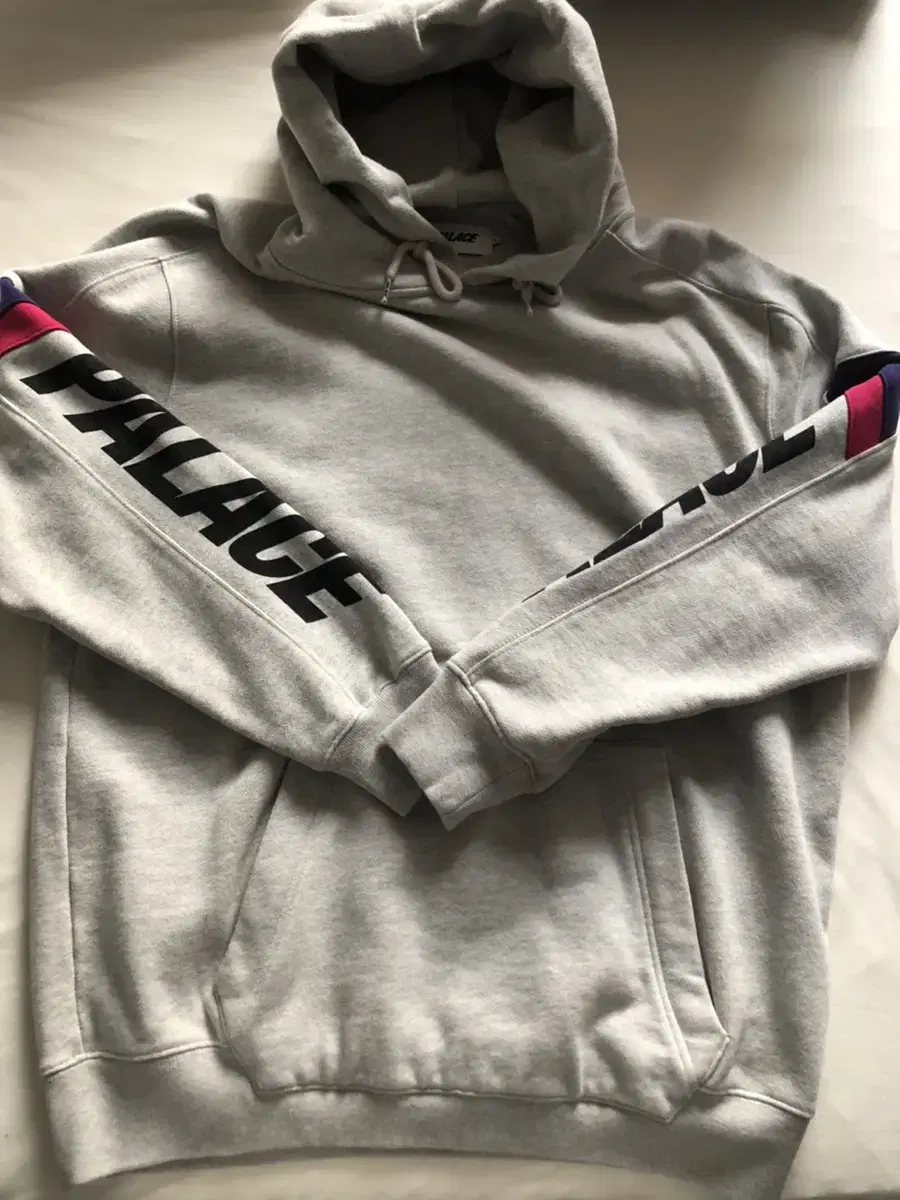 PALACE Palas Sport Hoodie