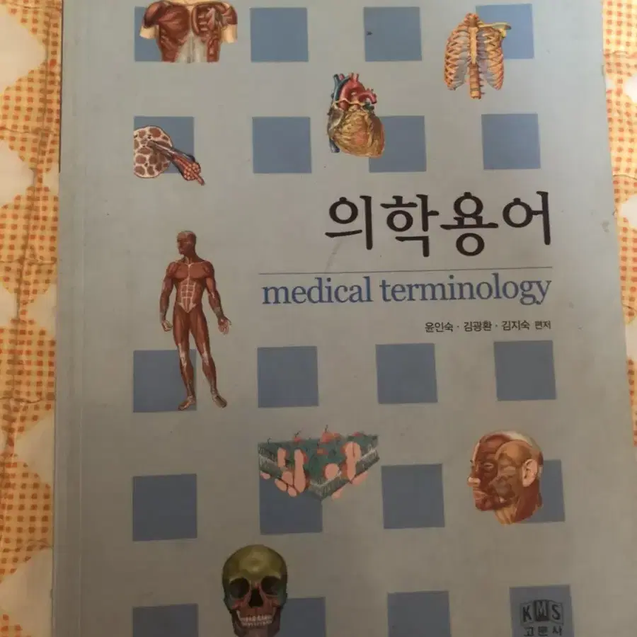 물리치료 전공책 중고