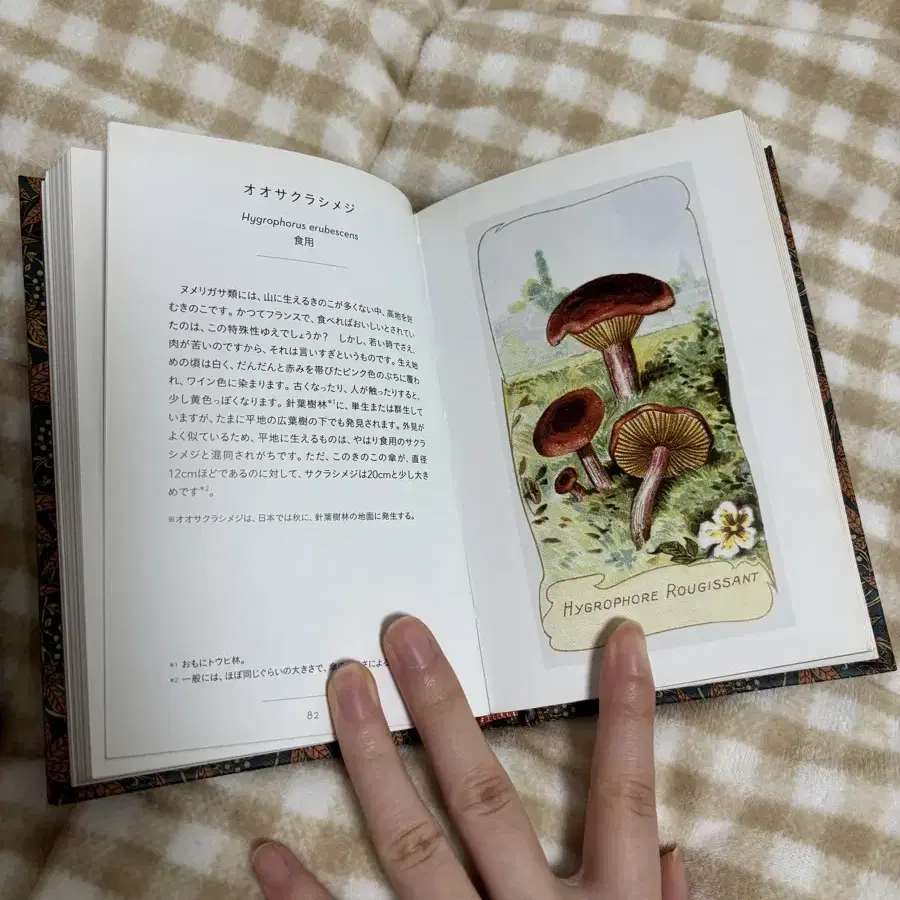 빈티지 소품 , 빈티지 책 일본 서적