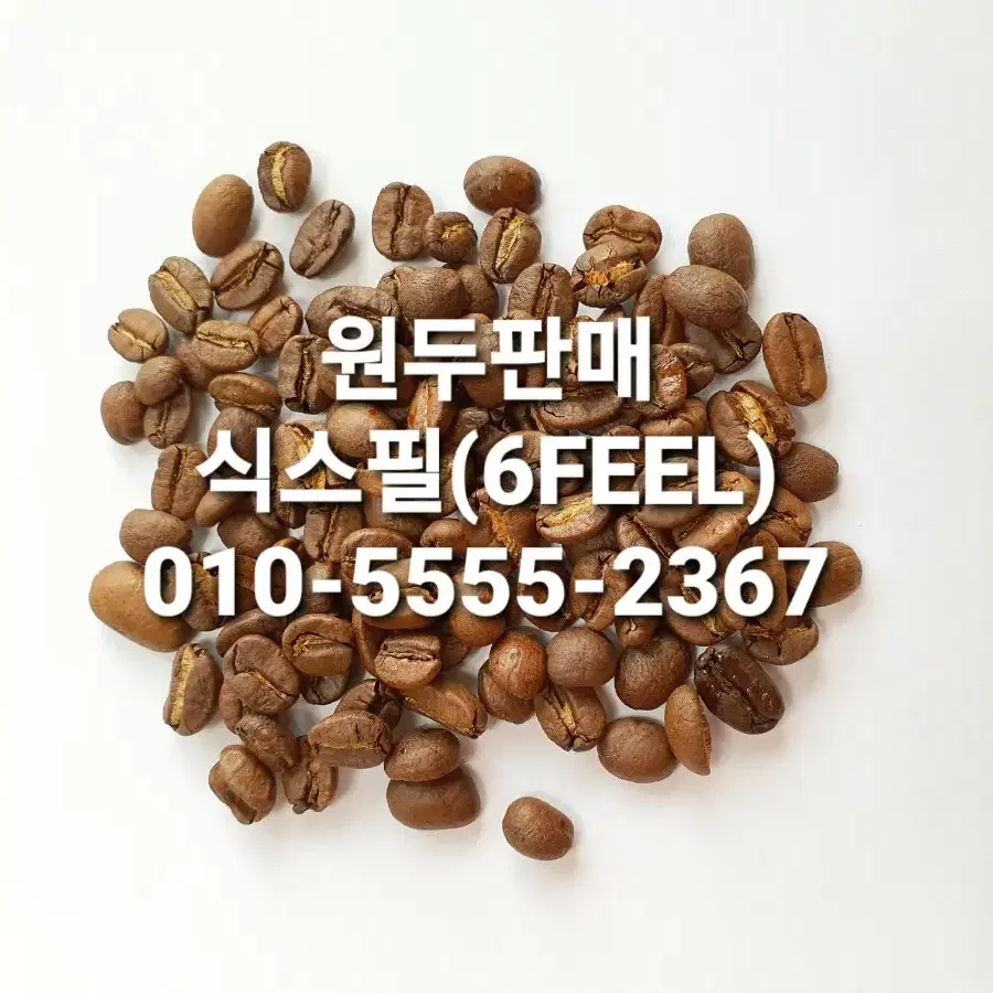 케냐AA, 에디오피아예가체프, 코스타리카 따라주 원두 커피 판매 500g