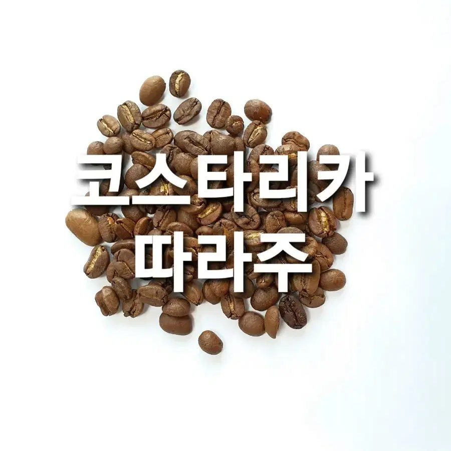 코스타리카따라주,브라질세하도,베트남로부스타 원두 커피