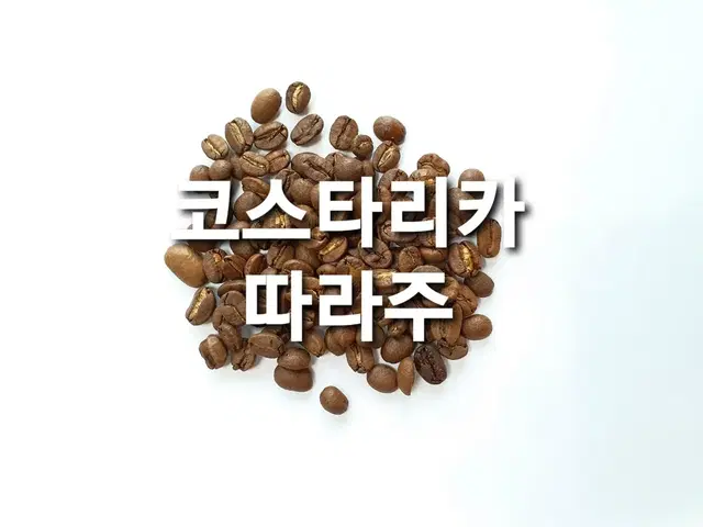 코스타리카따라주,브라질세하도,베트남로부스타 원두 커피