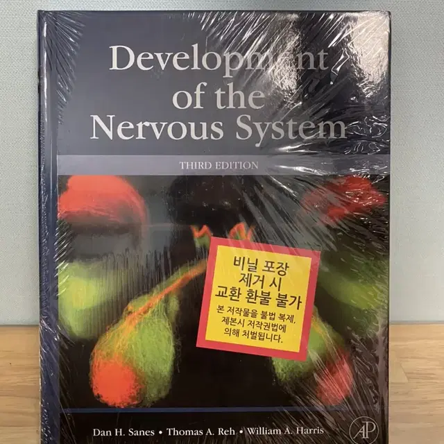 development of the nervous system(3rd)